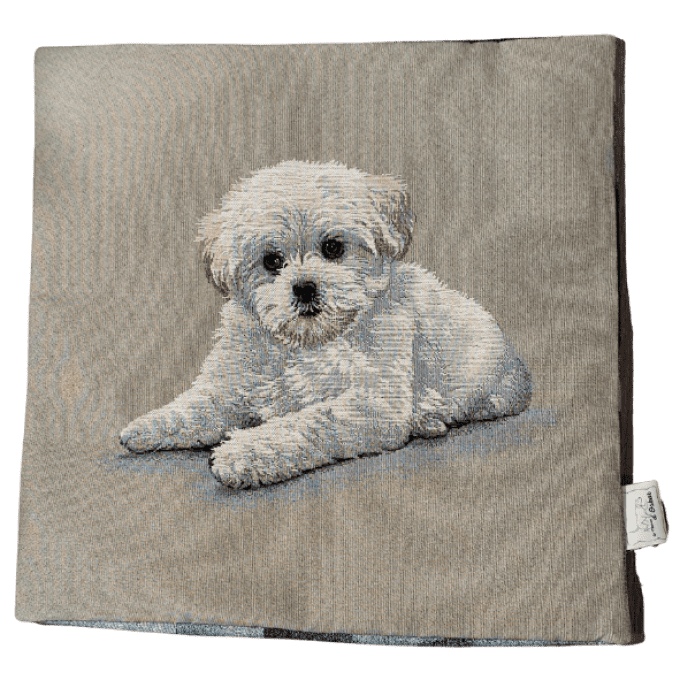 Housse de coussin Bichon