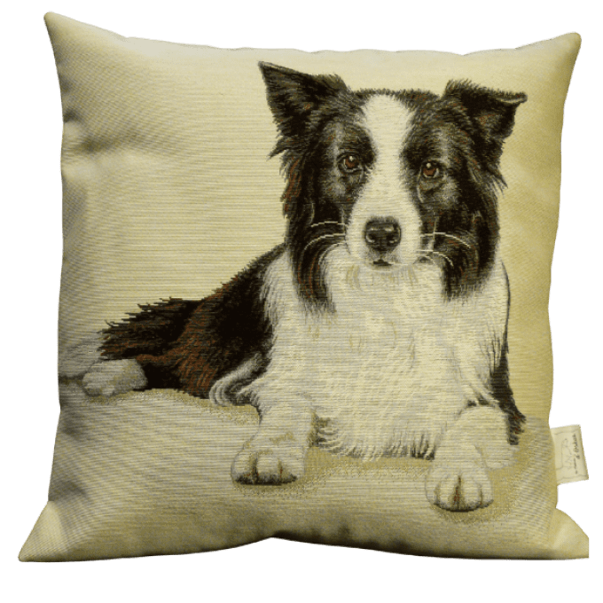 Housse de Coussin Border Collie