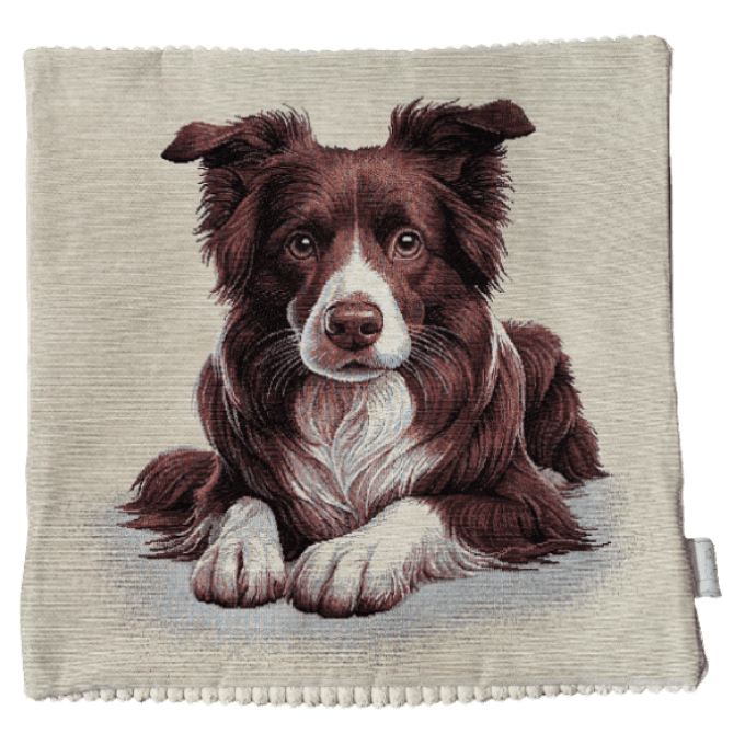 Housse de Coussin Border Collie - marron