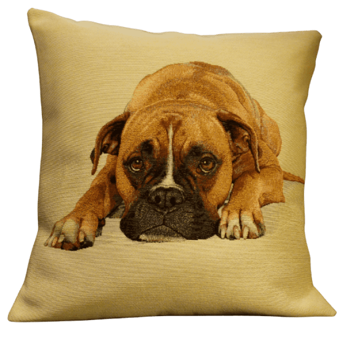 Housse de Coussin Boxer