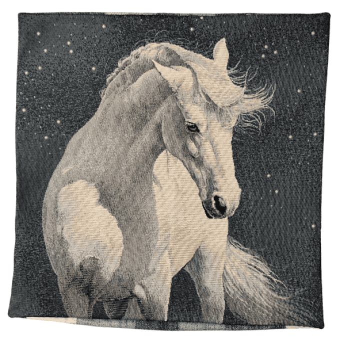 Housse de Coussin Cheval dans la nuit