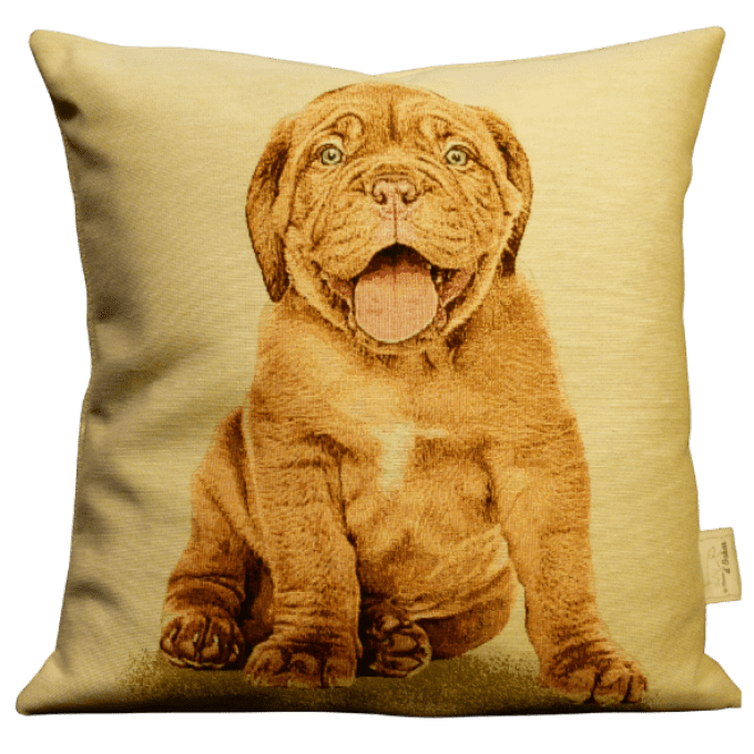 Housse de coussin Bébé Dogue de Bordeaux