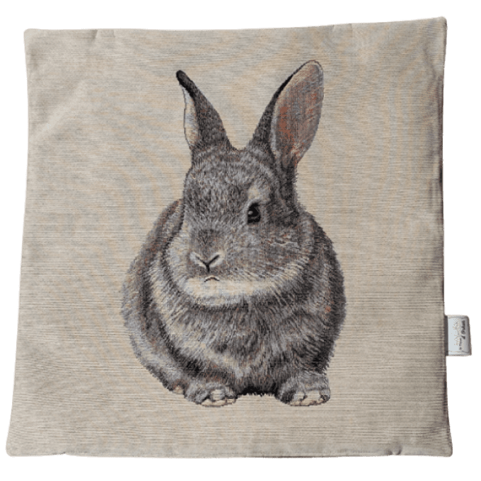Lapin recto-verso