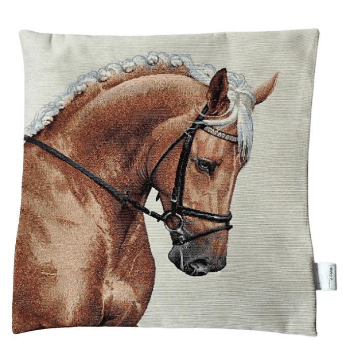 Housse de Coussin Palomino