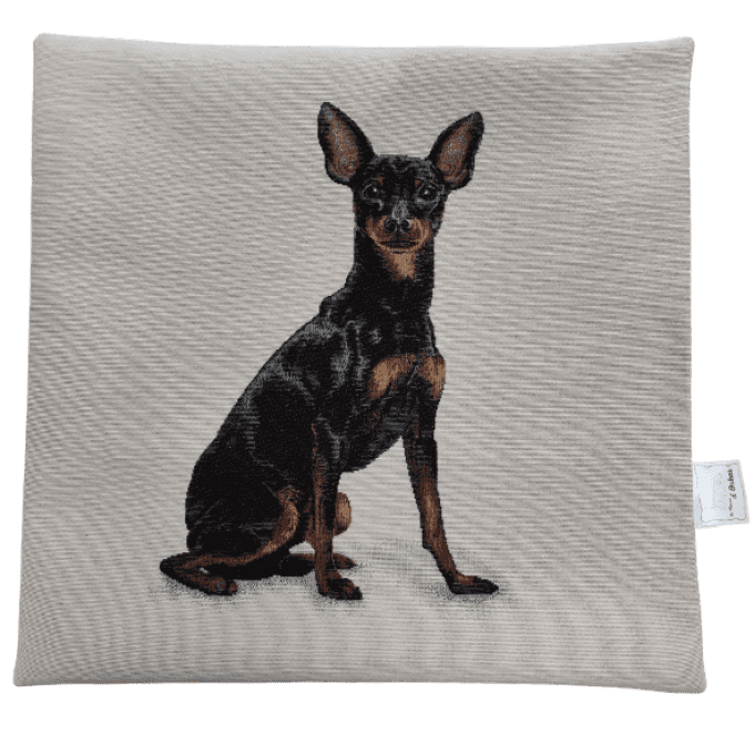 Housse de coussin Pinscher