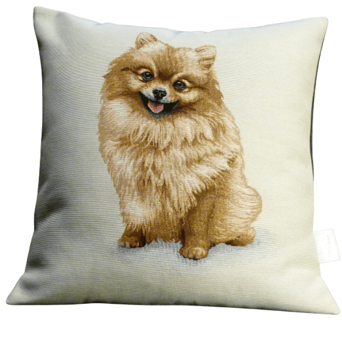 Housse de coussin Spitz sable