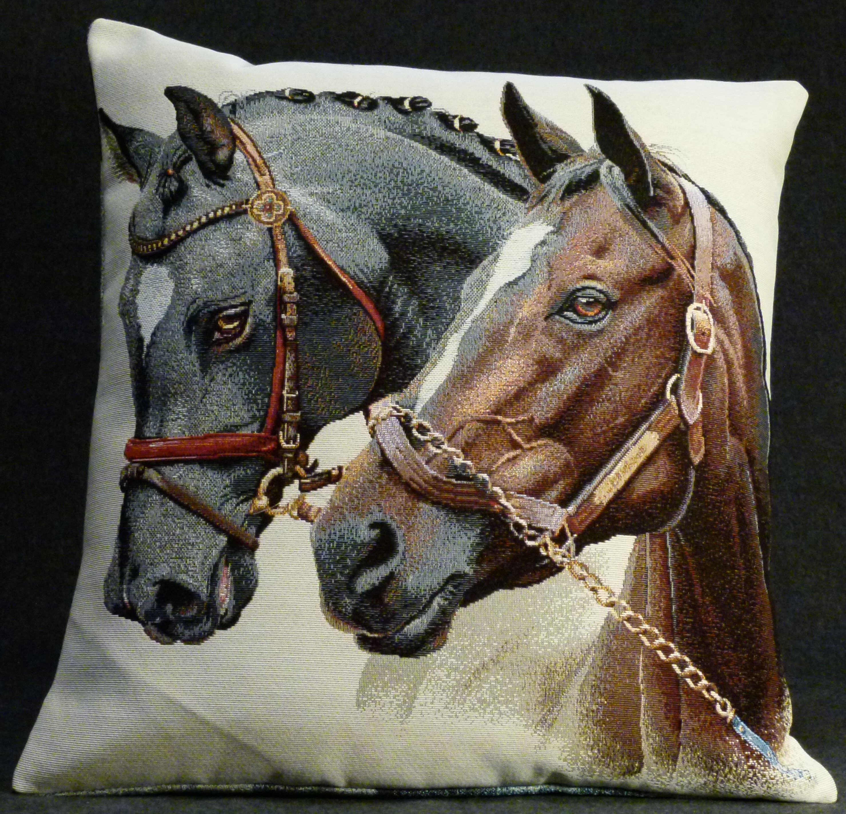 Les chevaux